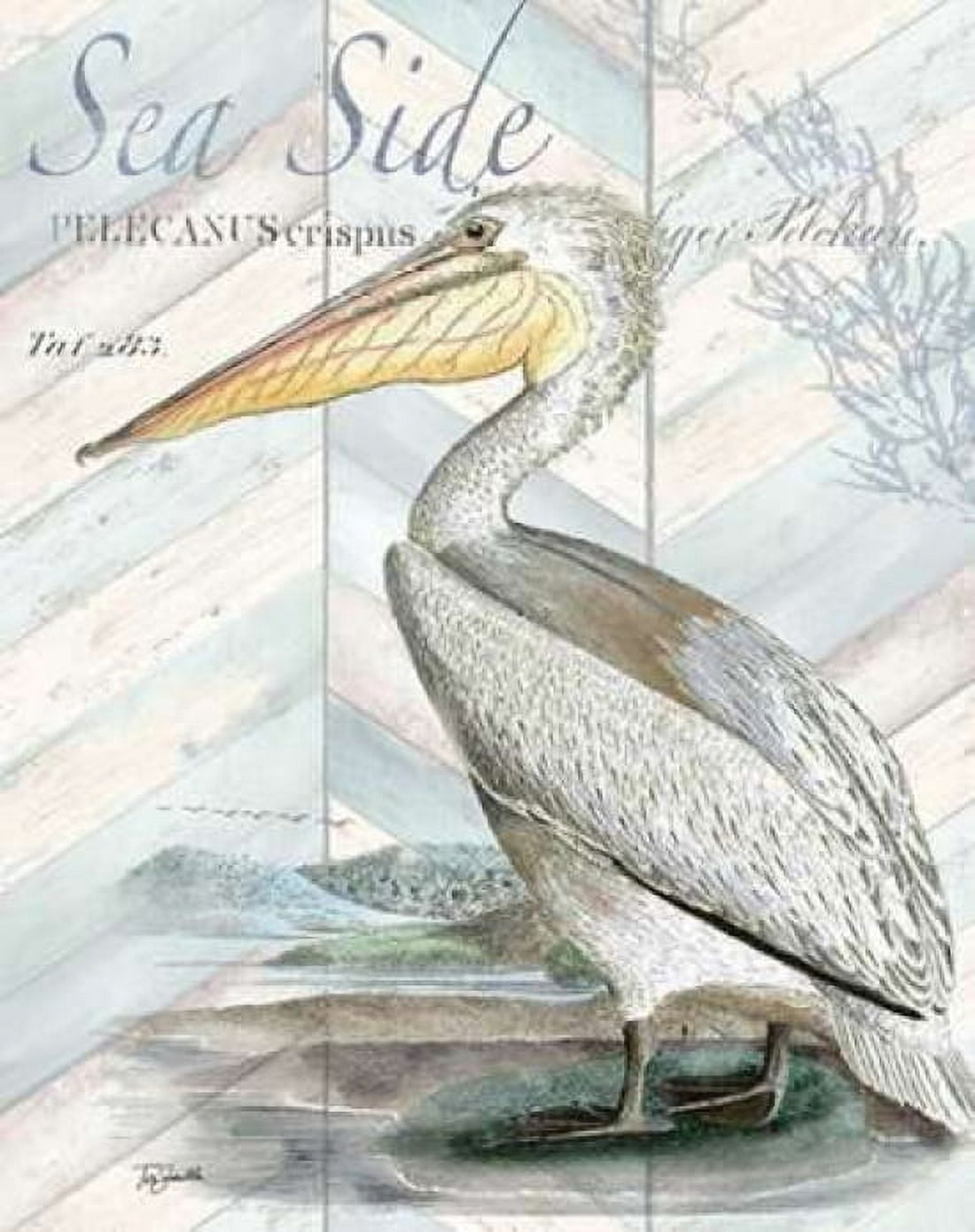 Shore Birds II Canvas Art - Tre Sorelle Studios (22 x 28)