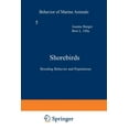 thumbnail image 1 of Shorebirds: Breeding Behavior and Populations, (Paperback), 1 of 1