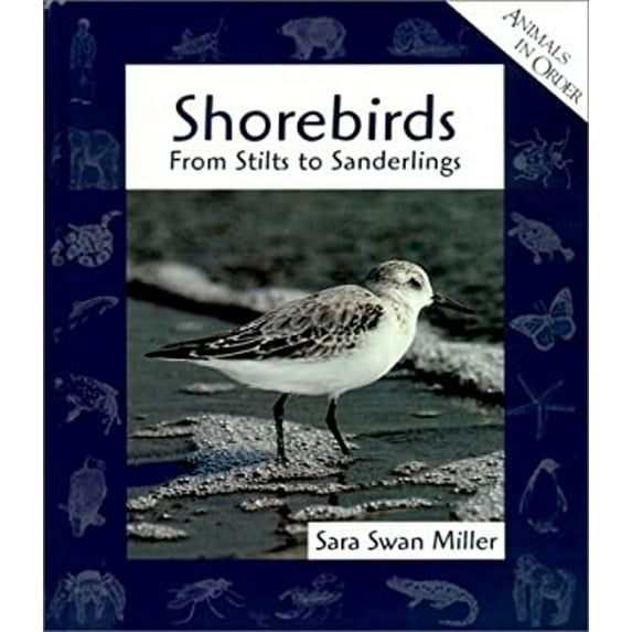 Pre-Owned Shorebirds: From Stilts to Sanderlings (Library Binding) 0531115968 9780531115961