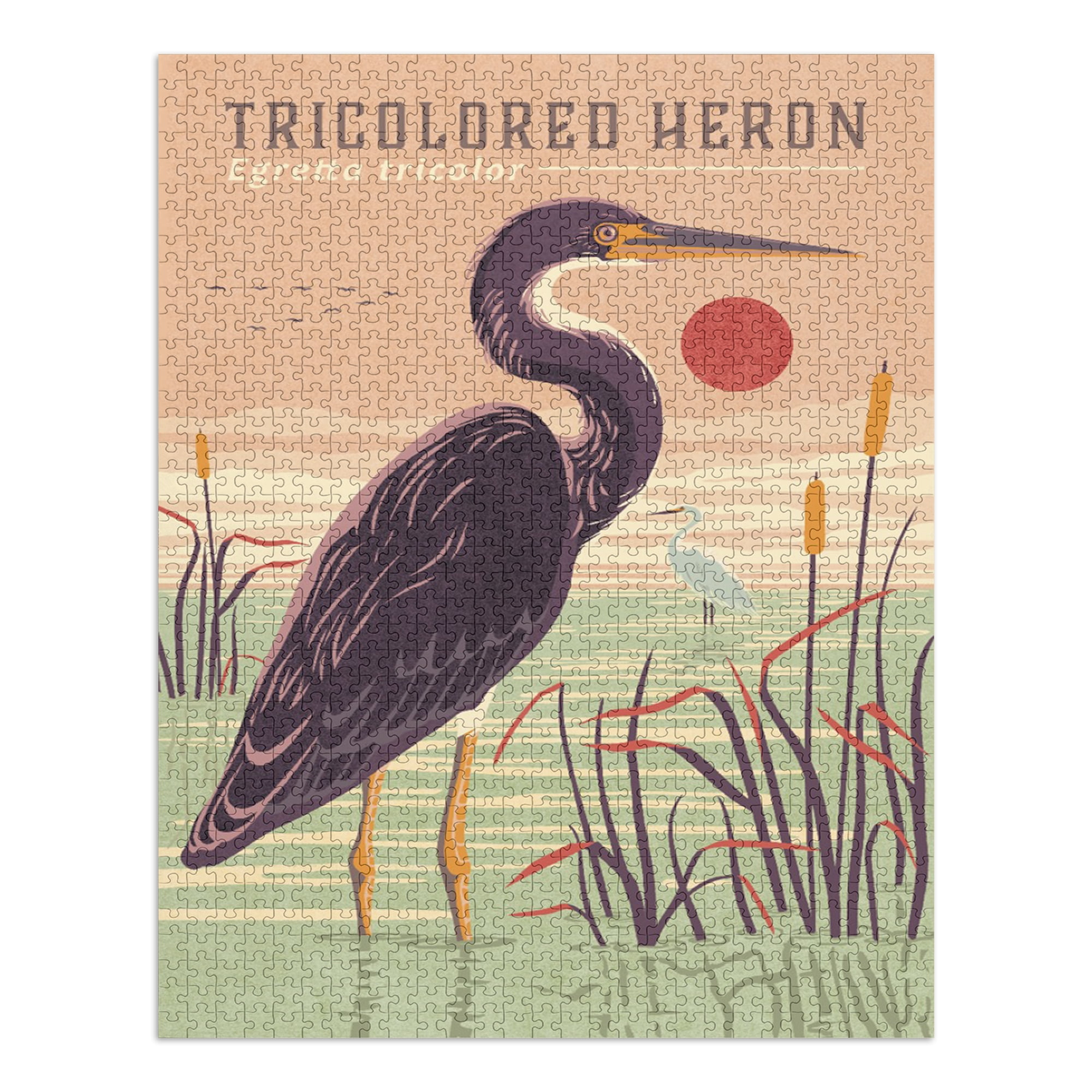 Shorebirds at Sunset Collection, Tricolored Heron, Bird (1000 Piece ...