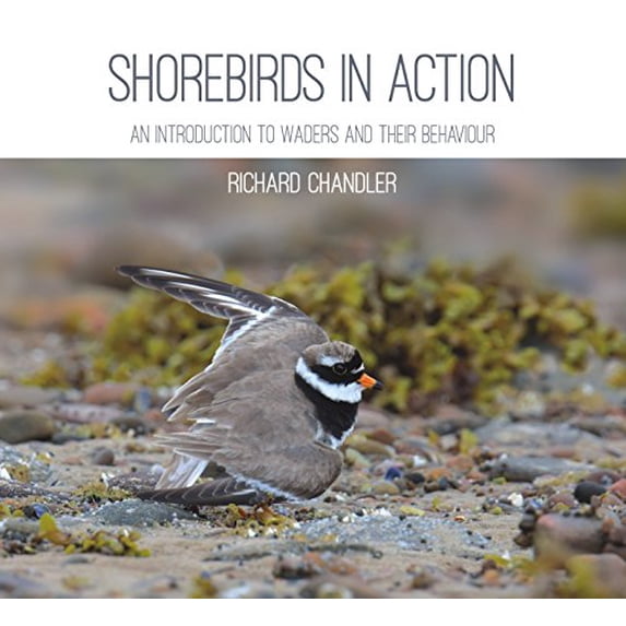 Pre-Owned Shorebirds in Action: An Introduction to Waders and Their Behaviour Paperback