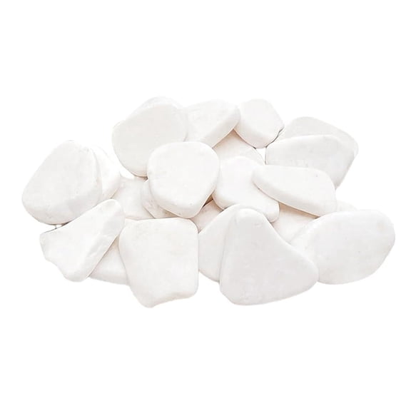 Shoreew 12 Pcs White Painting Rocks 2" to 3" Irregular Shape Rocks Bulk Smooth Flat Stones for Rock Painting Arts And DIY Crafts Supplies
