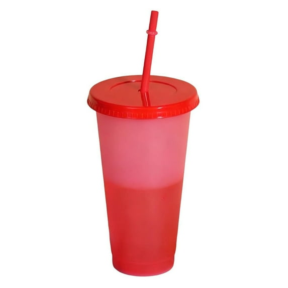 Shoreew Color Changing Plastic Tumbler with Straw 24oz Reusable Cold Water Cup Leak-Proof Stackable Drinkware for Indoor Outdoor Use