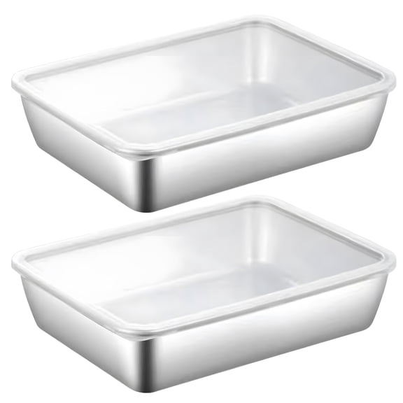 Shoreew Stainless Steel Lunch Box with Transparent Lid Leakproof Food Container for Cheese Deli Meat Fruits Oven Baking Picnics Raised Bottom Patterns Food Storage Box for Preservation