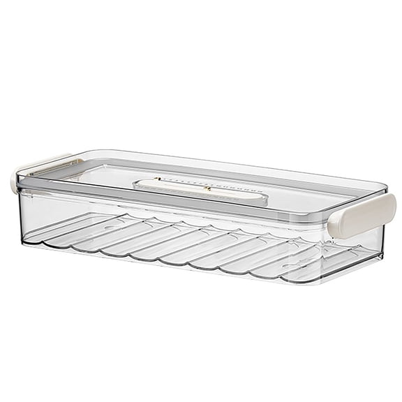 Shoreew Transparent Dumpling Box Single/Double Layer Stackable Large Capacity Space-Saving with Handle Dust-proof Cover Refrigerator Organizer