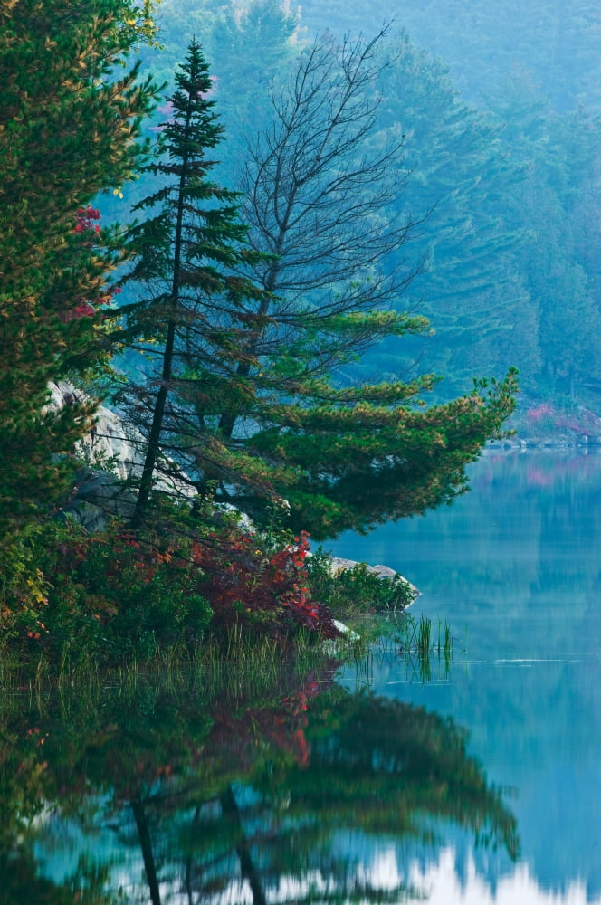 Shoreline Of George Lake Killarney Provincial Park Ont Canvas Art - Mike Grandmaison Design Pics (12 x 18)