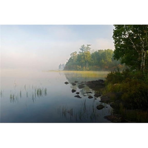 Shoreline Trees & Grasses Along Nina Moose Lake Fog Boundary Waters Canoe Area Wilderness Minnesota USA Poster Print - 27 x 9