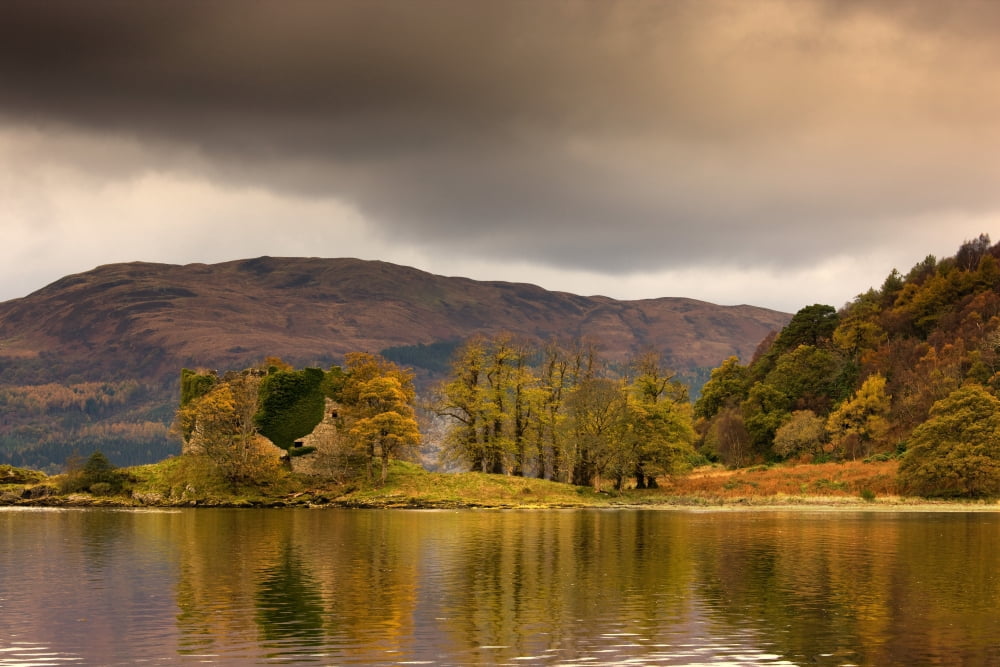 Shoreline With Fall Colors Argyll And Bute Scotland Canvas Art - John Short Design Pics (18 x 12)