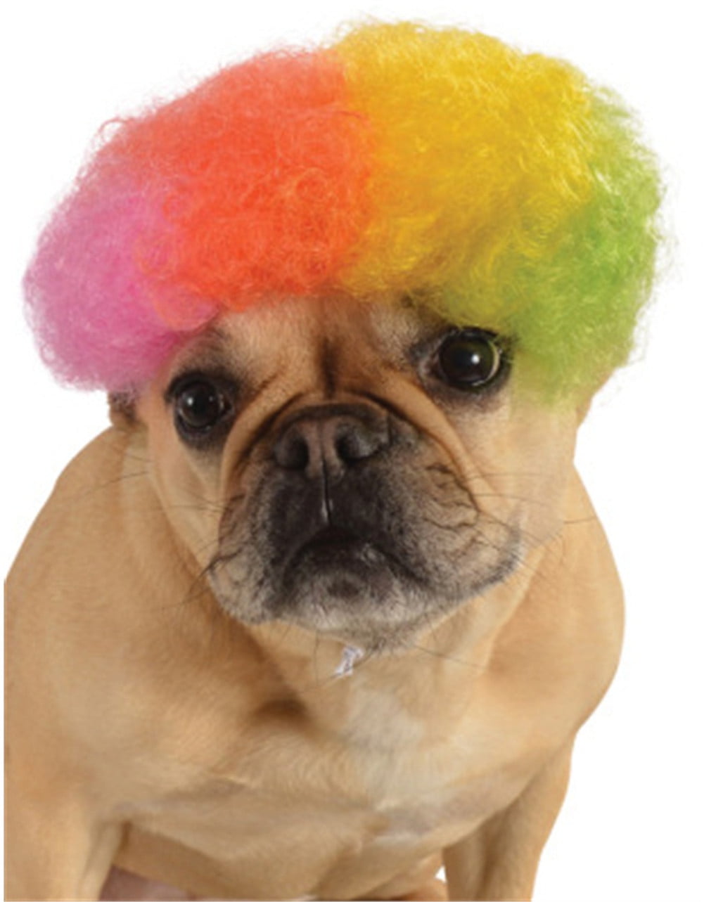 Afro wig for dogs cheap
