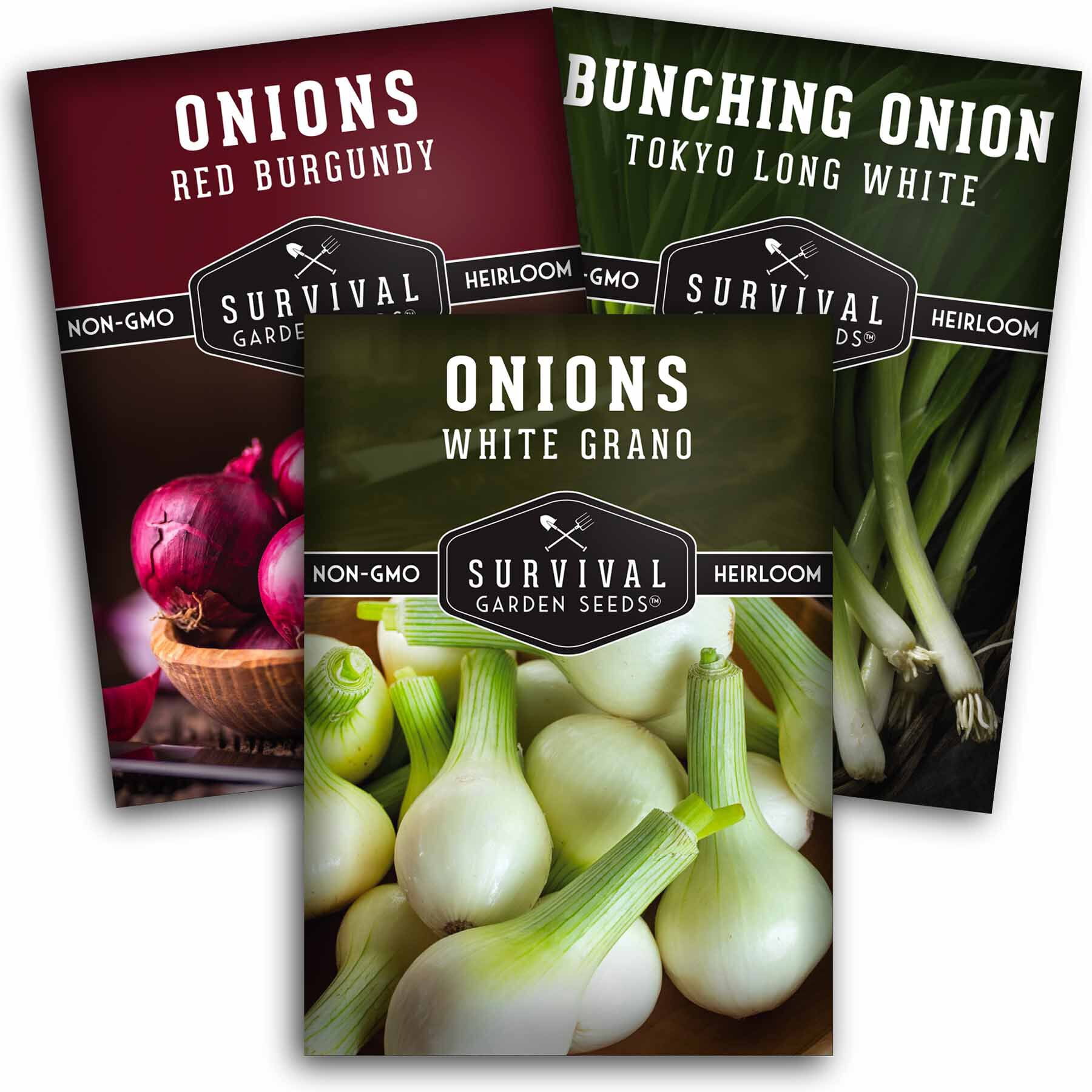 Short Day Onion Seed Collection 3 Packs Short Day Onions Full Sun Biennial Vegetable