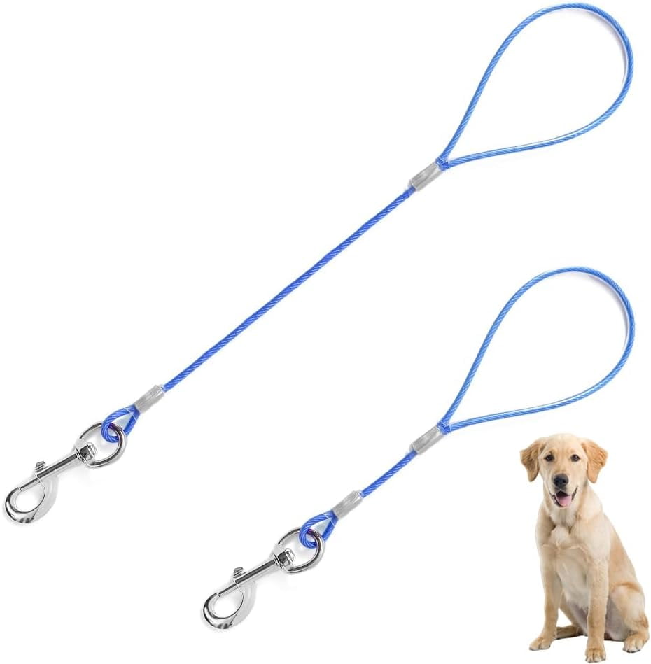 For Indoor Training No Chew Dog Training Tether - 6ft Heavy Duty Tie Down  For Puppies & Dogs Short Dog Restraint