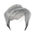 thumbnail image 1 of Short European Hair Gray Curly Grandma Wig Headgear Natural Looking Partial Synthetic Hairpiece for Women, 1 of 9