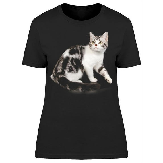 Short Hair Kitten Looking Up T-Shirt Women -Image by Shutterstock, Female Small