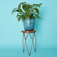 thumbnail image 1 of Short Iron Plant Stand, 1 of 4