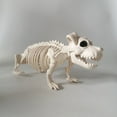 thumbnail image 1 of Short Legged Dog Skeleton Decoration Skeleton Short Legged Dog Statue Shor Skeleton Decor Decorations, 1 of 5