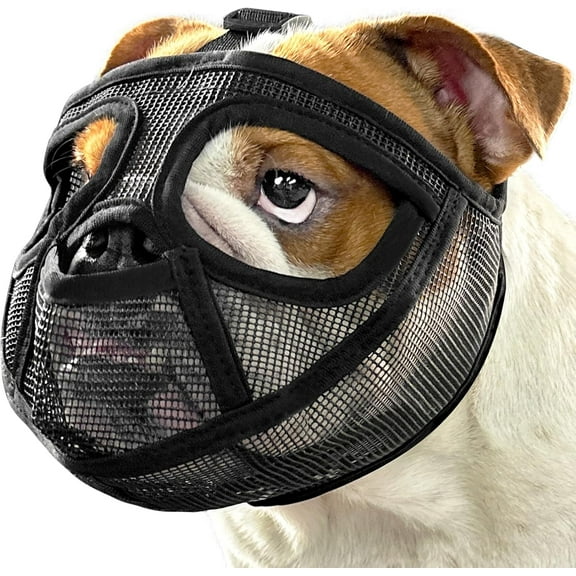 Short Snout Dog Muzzle for French Bulldog with Full Pant Design to Prevent Eating Biting, Soft Mesh Dog Muzzle for Shih Tzu Pug English Bulldog for Grooming Walking, Allow to Drink and Feed