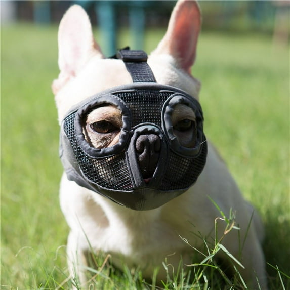 Short Snout Dog Muzzles- Adjustable Breathable Mesh Bulldog Muzzle for Biting Chewing Licking Grooming Dog Mask
