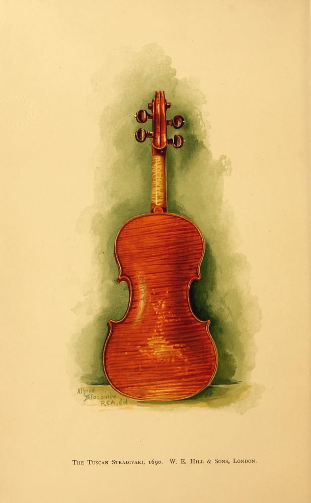 Short account of a violin by Stradivari 1889 Violin back Canvas Art - Alfred Slocombe (18 x 24)