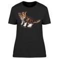 thumbnail image 1 of Shorthair Cat: Looking Down T-Shirt Women -Image by Shutterstock, Female Small, 1 of 2