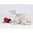 thumbnail image 1 of Shorthair Gray Tabby Cat Cremation Pet Urn for a Cat Memorial in remembrance of your beloved family petors, 1 of 1