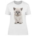 thumbnail image 1 of Shorthair Kitten, Looks Sad T-Shirt Women -Image by Shutterstock, Female Small, 1 of 2