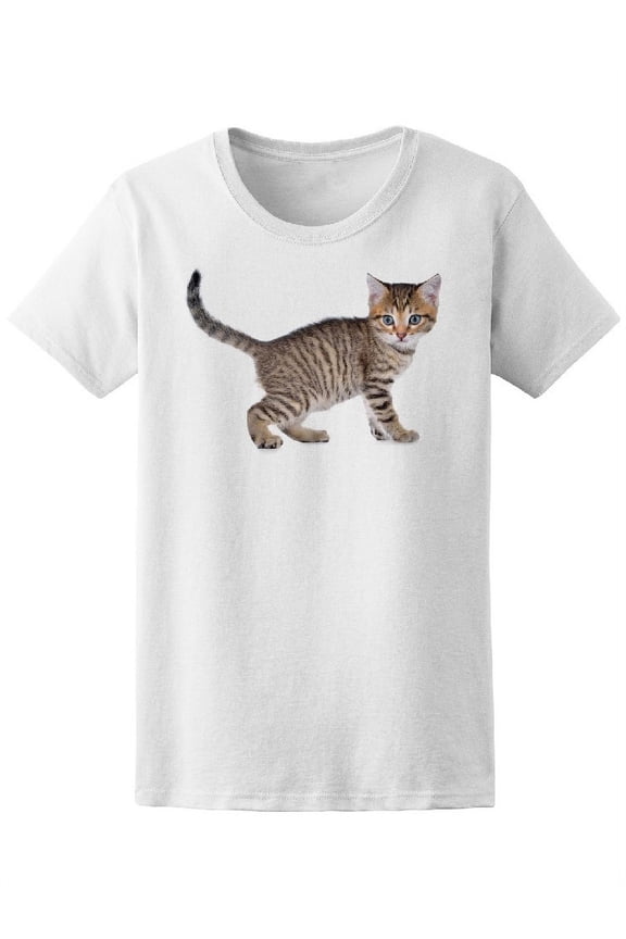 Shorthair Kitten Side View Tee Women's -Image by Shutterstock