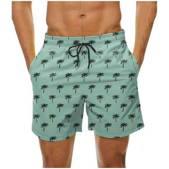 Shorts for Men Elastic Waist Drawstring Waistband Print Casual Pocket Beach Shorts 2-Mint Green S