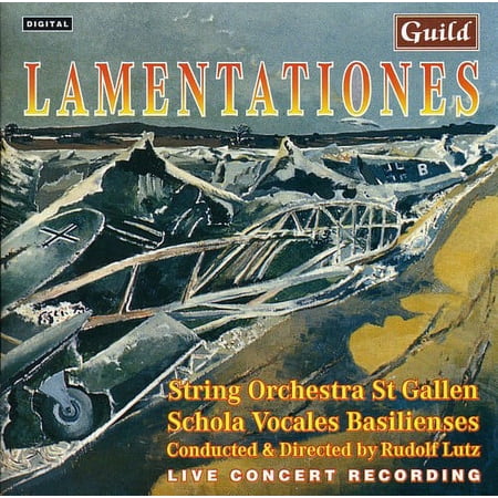 Shostakovich / Franck / Lutz / Reger - Lamentations - Music & Performance - CD