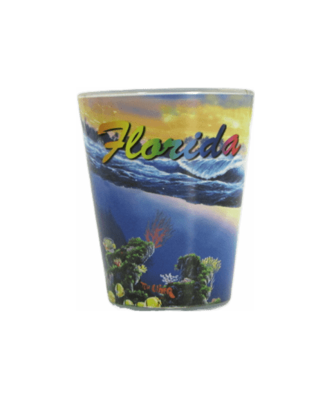 Shot Glass Florida Dolphin 1 Count Beach Hut Inc. Brand Souvenirs