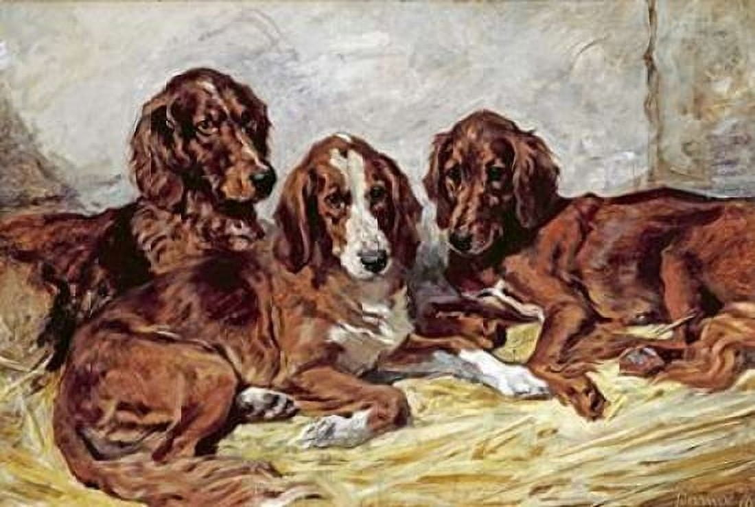 Shot and His Friends - Three Irish Red and White Setters Canvas Art - John Emms (20 x 28)
