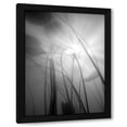 thumbnail image 1 of Shot by Clint 25x32 Black Modern Wood Framed Wall Art Titled - Water Lilly 04, 1 of 6