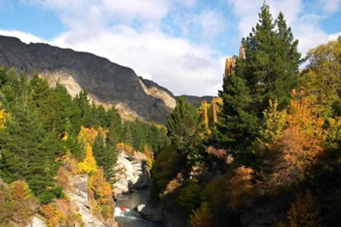 Shotover Jet Shotover River Queenstown New Zealand Canvas Art - David Wall DanitaDelimont (26 x 17)