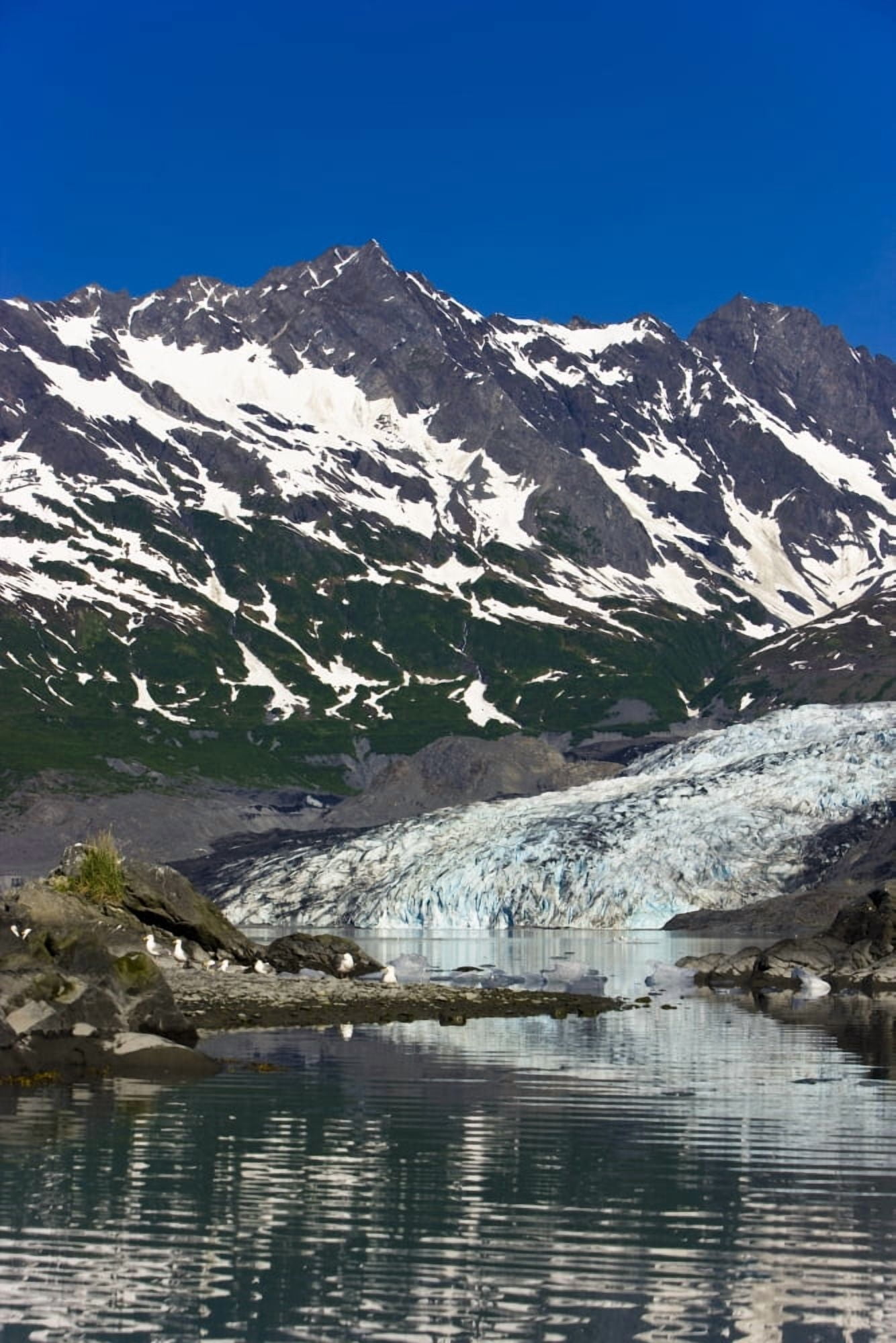 Shoup Glacier Reflected In The Waters Of Shoup Bay Shoup Bay State Marine Park Prince William Sound Southcentral Alaska Usa Canvas Art - Kevin Smith Design Pics (24 x 36)