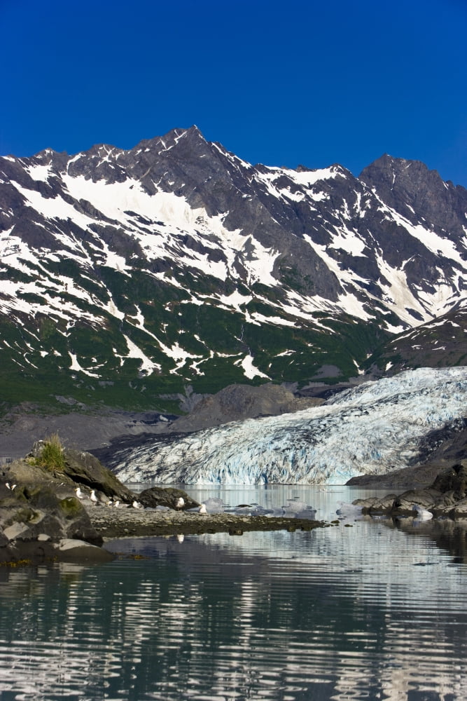 Shoup Glacier Reflected In The Waters Of Shoup Bay Shoup Bay State Marine Park Prince William Sound Southcentral Alaska Usa Canvas Art - Kevin Smith Design Pics (12 x 18)