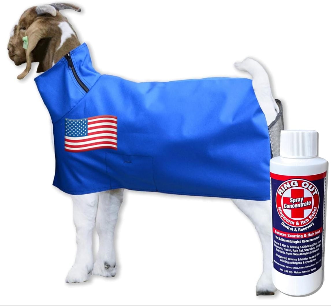 Show Pro Blue Goat Blanket Mesh Butt for Show Goats Livestock
