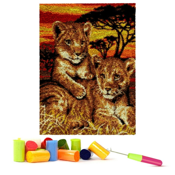 ShowNiceArt Latch Hook Rug Kits for kids,3D Canvas DIY Rug Crochet Yarn Kits, Embroidery Decoration 20*15in