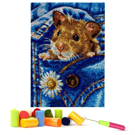 ShowNiceArt Latch Hook Rug Kits for kids,3D Canvas DIY Rug Crochet Yarn Kits, Embroidery Decoration 20*15in