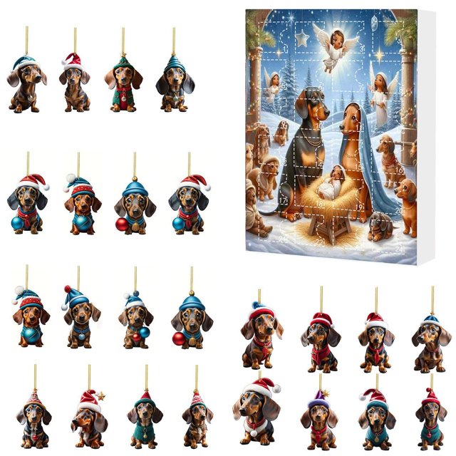 Shower Clock with Timer Kitchen Timer Cute Owl Wall Timer Kids Schedule