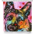 thumbnail image 1 of Shower Curtains 70" x 73" from DiaNoche Designs by Dean Russo - German Shepherd Dog 25, 1 of 1