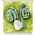 thumbnail image 1 of Shower Curtains 70" x 73" from DiaNoche Designs by Marley Ungaro - Green Turbo Shells, 1 of 1