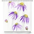 thumbnail image 1 of Shower Curtains 70" x 84" from DiaNoche Designs by Amanda Hawkins - Purple Echinacea, 1 of 1