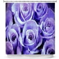 thumbnail image 1 of Shower Curtains 70" x 84" from DiaNoche Designs by Angelina Vick - Soft Lavender Roses, 1 of 1