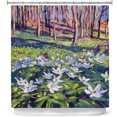 thumbnail image 1 of Shower Curtains 70" x 84" from DiaNoche Designs by David Lloyd Glover - Anemones in the Meadow, 1 of 1