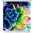 thumbnail image 1 of Shower Curtains 70" x 84" from DiaNoche Designs by Rachel Brown - Supplication Succulent, 1 of 1