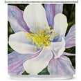 thumbnail image 1 of Shower Curtains 70" x 93" from DiaNoche Designs by Anne Gifford - Columbine Flower, 1 of 1