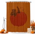 thumbnail image 1 of Shower Curtains for Bathroom-36"x72",Thanksgiving Terracotta Pumpkins Waterproof Bath Curtain Grommet Shower Curtain Set with Hooks, 1 of 9