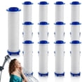 thumbnail image 1 of Shower Filter for Handheld Shower Head, NOGIS Set of 12 Replacement Filters for Hard Water Remove Chlorine and Harmful Substances, 0.9 x 3.7 inch, 1 of 7