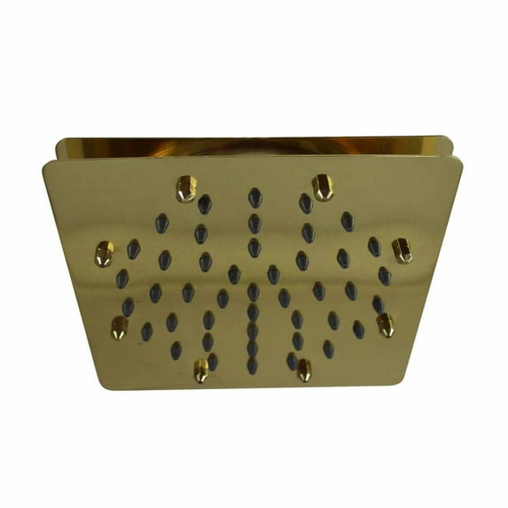 Shower Head Gold PVD 51 Fine Mist Jets Single Hole | Renovator's Supply