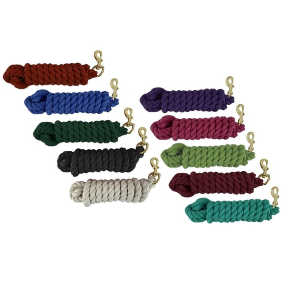 Showman 10' Braided Cotton Lead w/ Brass Snap (Black)