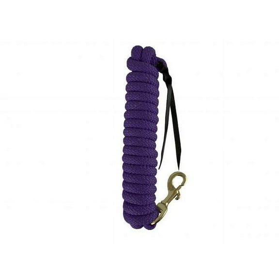 Showman 14' Nylon Pro Braid Training Lead w/ Brass Snap & Leather Popper (Purple)